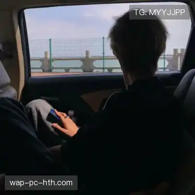 明锦柳